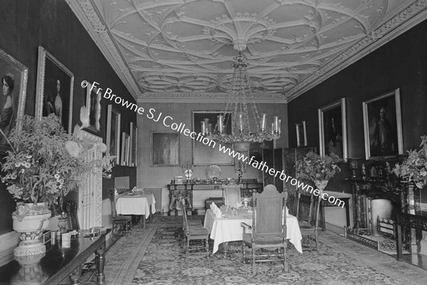 BIRR CASTLE  DRAWING ROOM